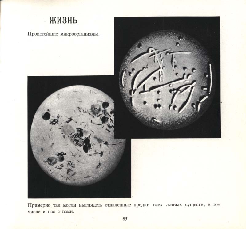Otkuda 080